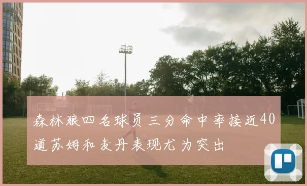森林狼四名球员三分命中率接近40道苏姆和麦丹表现尤为突出